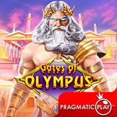 Cổng Olympus RS99